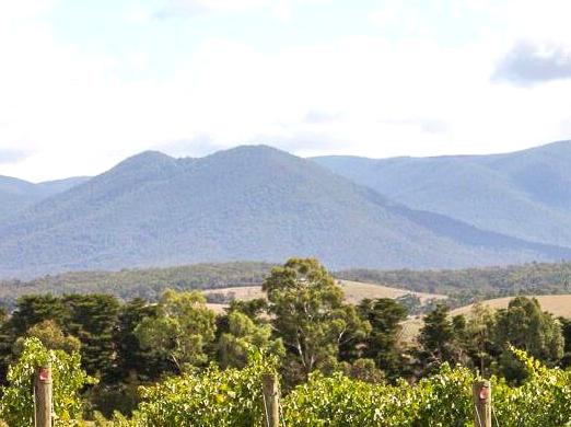 Unwind Under the Stars with a Luxurious Glamping Retreat